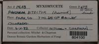 Image Associated With the Occurence